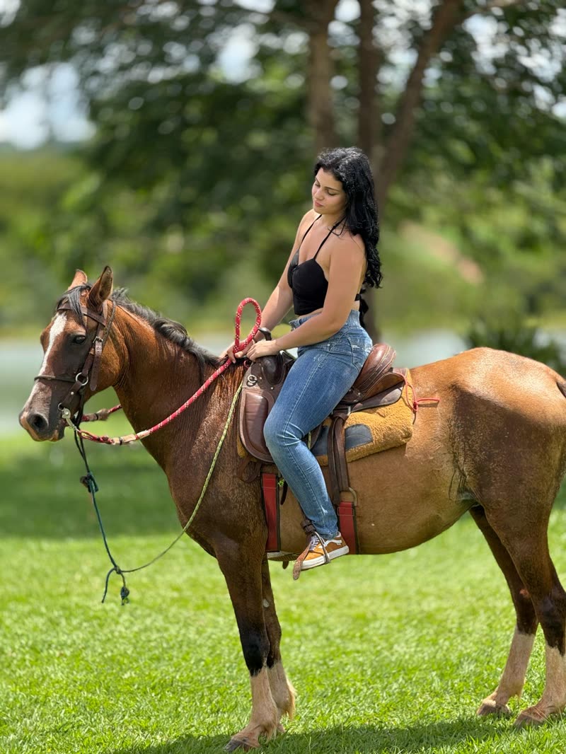 Passeio a cavalo no gramado do rancho
